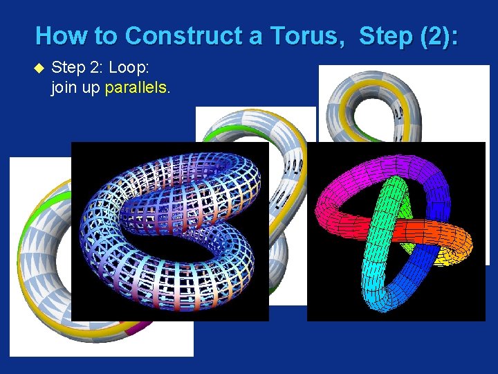 How to Construct a Torus, Step (2): u Step 2: Loop: join up parallels.