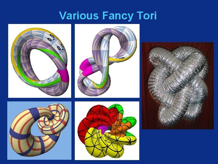 Various Fancy Tori 