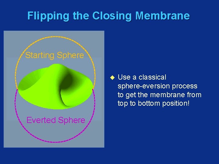 Flipping the Closing Membrane Starting Sphere u Everted Sphere Use a classical sphere-eversion process