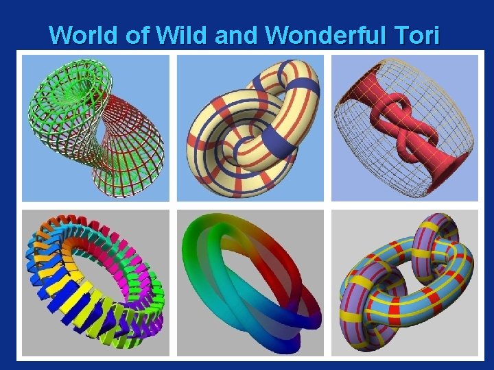 World of Wild and Wonderful Tori 