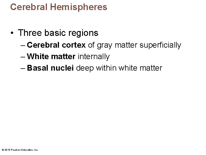 Cerebral Hemispheres • Three basic regions – Cerebral cortex of gray matter superficially –