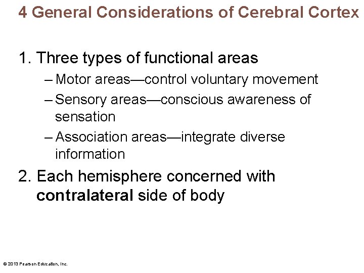 4 General Considerations of Cerebral Cortex 1. Three types of functional areas – Motor