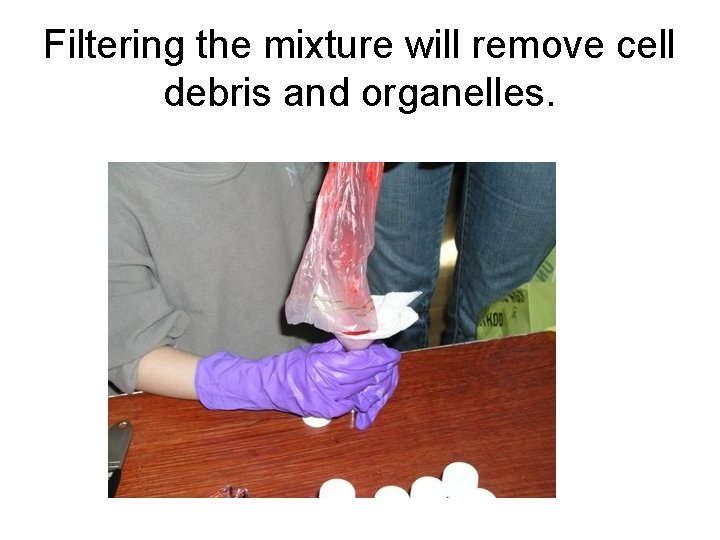 Filtering the mixture will remove cell debris and organelles. 