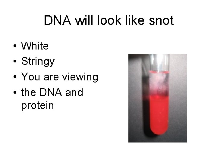 DNA will look like snot • • White Stringy You are viewing the DNA