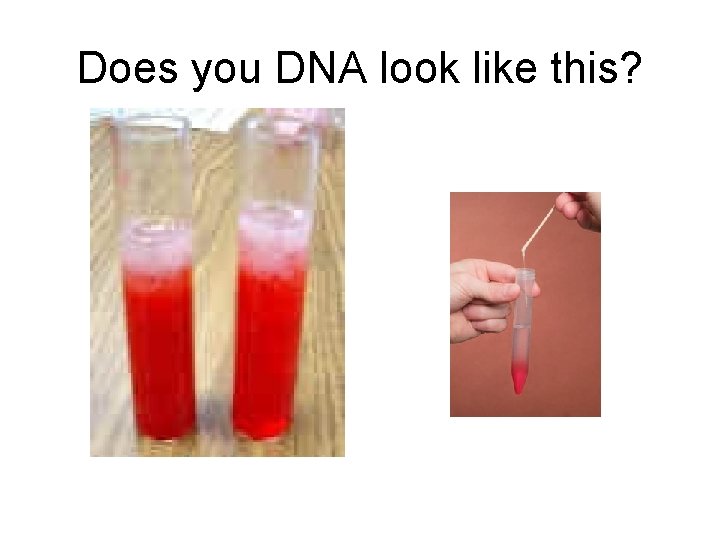 Does you DNA look like this? 