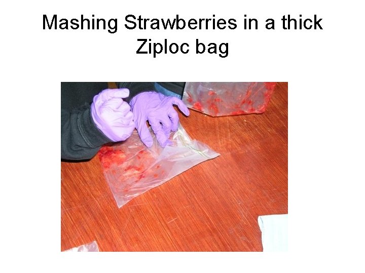 Mashing Strawberries in a thick Ziploc bag 