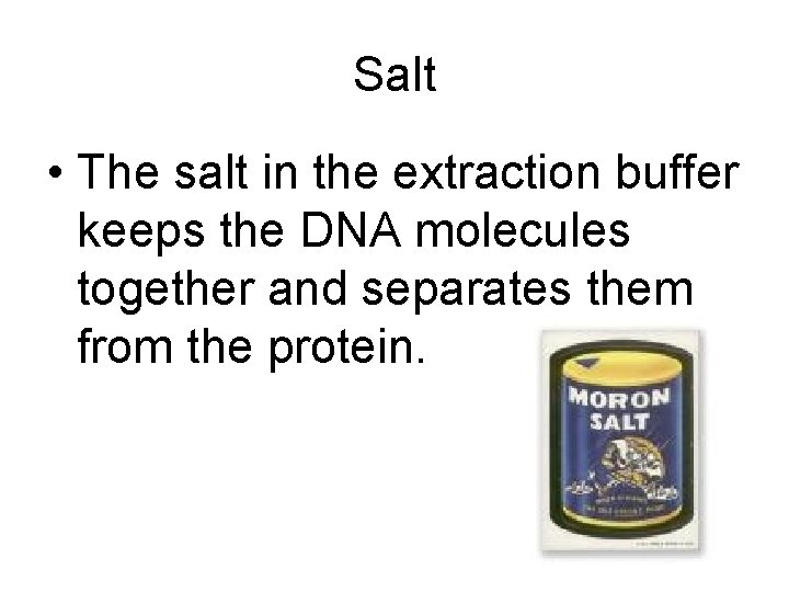 Salt • The salt in the extraction buffer keeps the DNA molecules together and