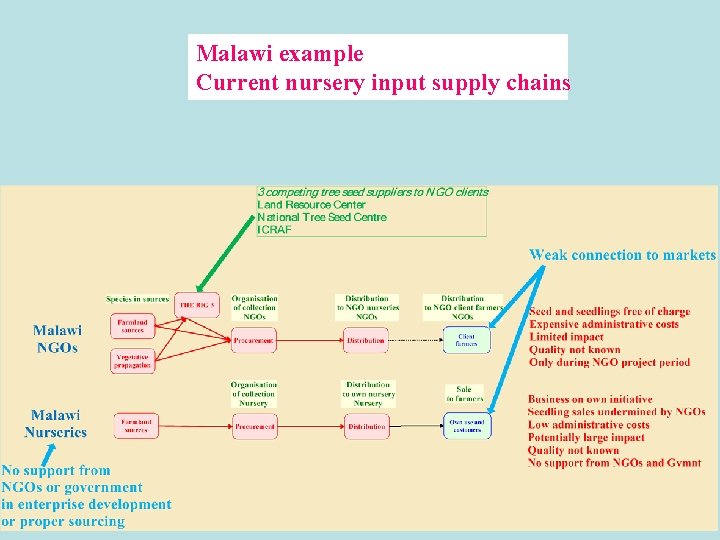 Malawi example Current nursery input supply chains 