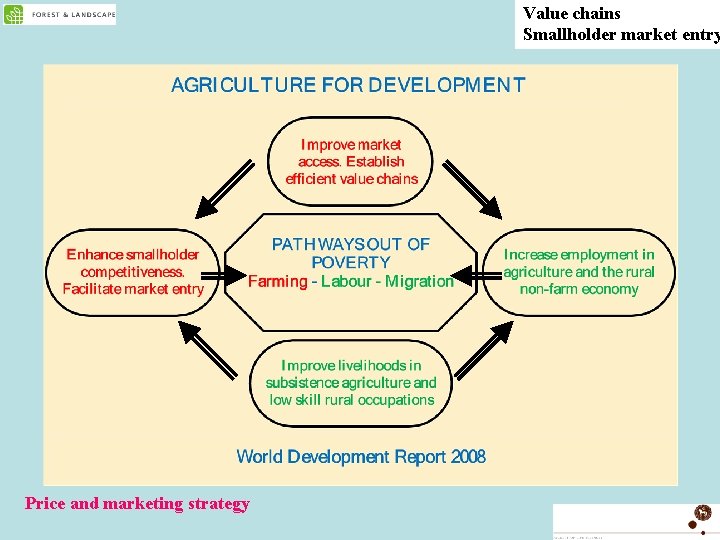Value chains Smallholder market entry Price and marketing strategy 