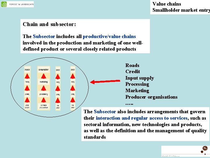 Value chains Smallholder market entry Chain and subsector: The Subsector includes all productive/value chains
