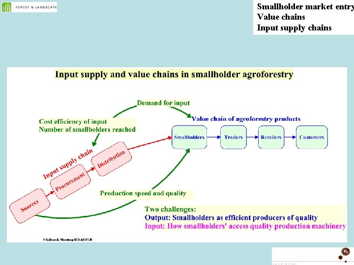 Smallholder market entry Value chains Input supply chains 