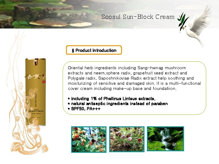 Soosul Sun-Block Cream § Product Introduction Oriental herb ingredients including Sang-hwnag mushroom extracts and