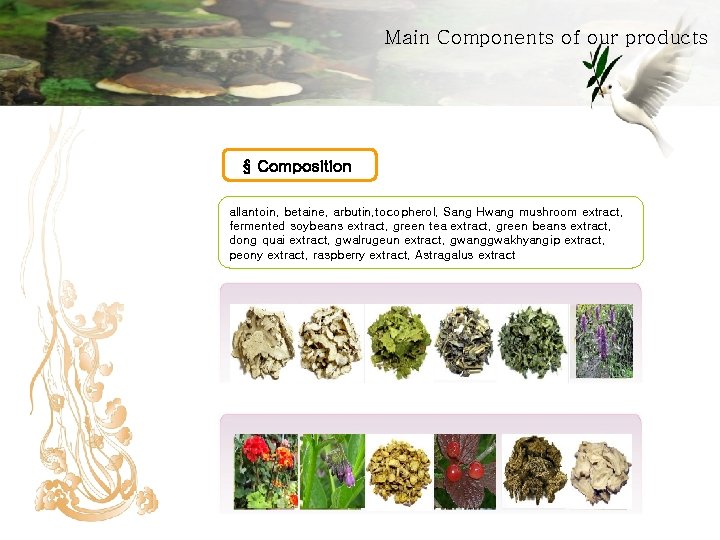 Main Components of our products § Composition allantoin, betaine, arbutin, tocopherol, Sang Hwang mushroom