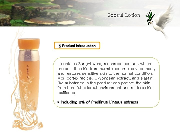 Soosul Lotion § Product Introduction It contains Sang-hwang mushroom extract, which protects the skin