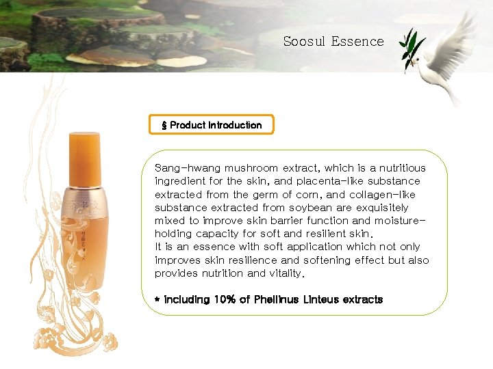 Soosul Essence § Product Introduction Sang-hwang mushroom extract, which is a nutritious ingredient for