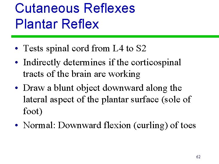 Cutaneous Reflexes Plantar Reflex • Tests spinal cord from L 4 to S 2