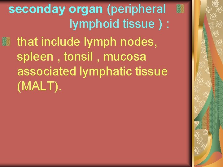 seconday organ (peripheral lymphoid tissue ) : that include lymph nodes, spleen , tonsil