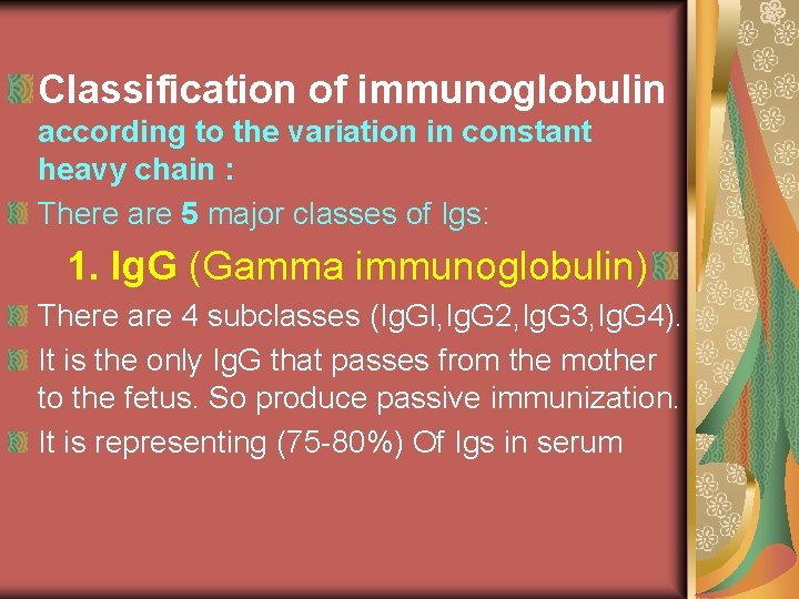 Classification of immunoglobulin according to the variation in constant heavy chain : There are