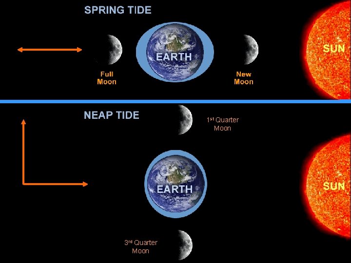 1 st Quarter Moon 3 rd Quarter Moon 