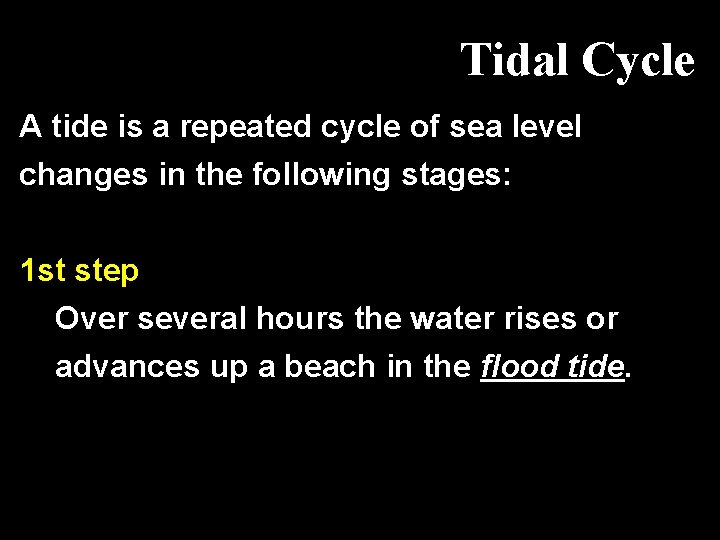 Tidal Cycle A tide is a repeated cycle of sea level changes in the