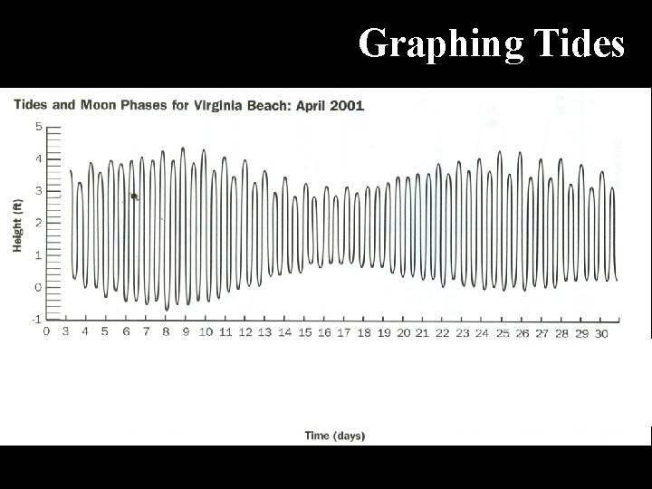 Graphing Tides 