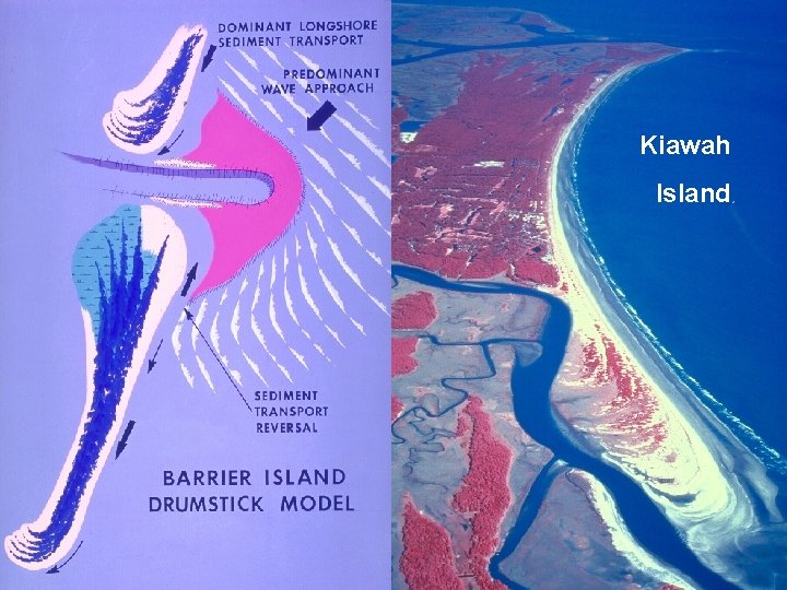 Kiawah Island 