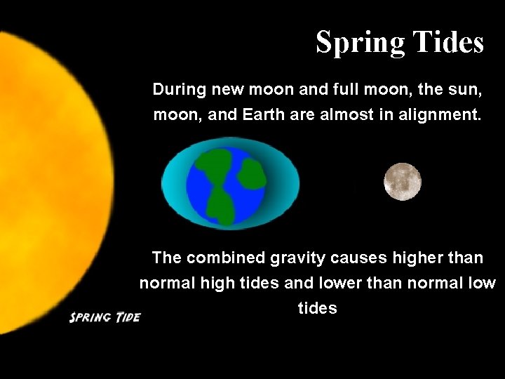 Spring Tides During new moon and full moon, the sun, moon, and Earth are
