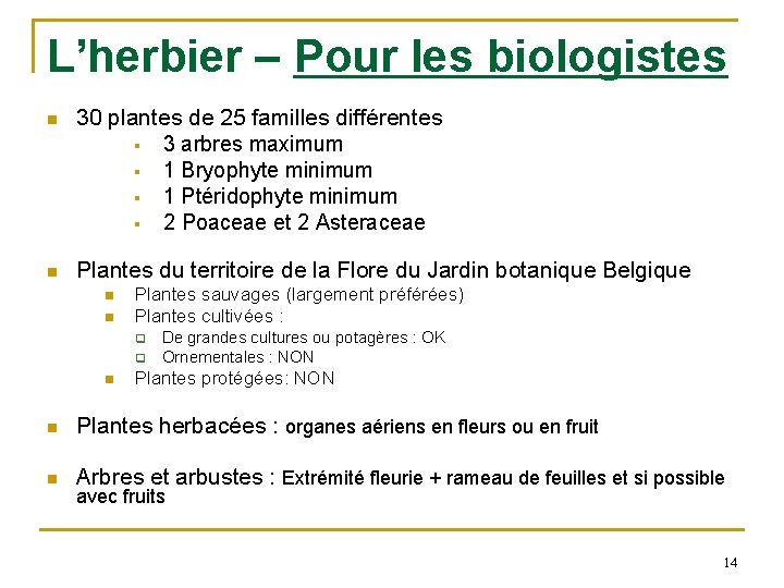 L’herbier – Pour les biologistes n 30 plantes de 25 familles différentes § 3