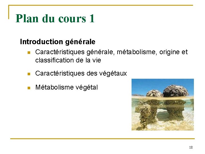 Plan du cours 1 Introduction générale n Caractéristiques générale, métabolisme, origine et classification de