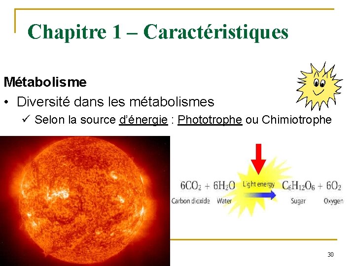 Chapitre 1 – Caractéristiques Métabolisme • Diversité dans les métabolismes ü Selon la source