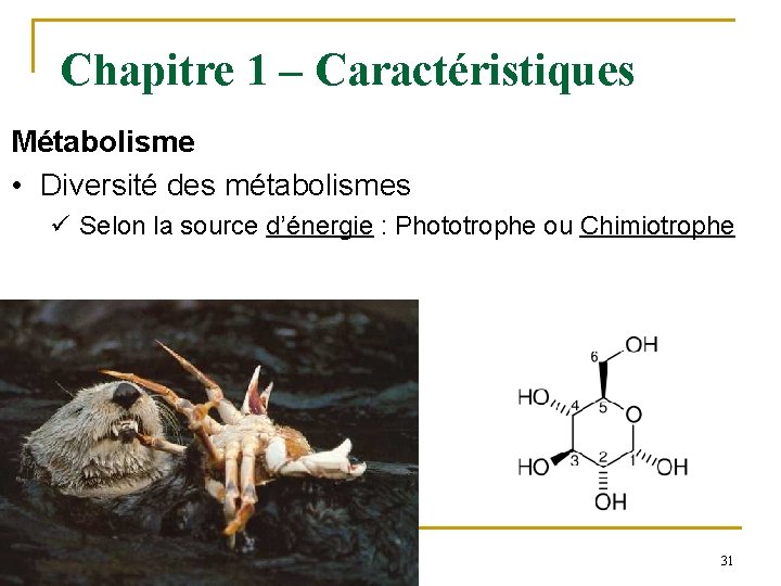 Chapitre 1 – Caractéristiques Métabolisme • Diversité des métabolismes ü Selon la source d’énergie