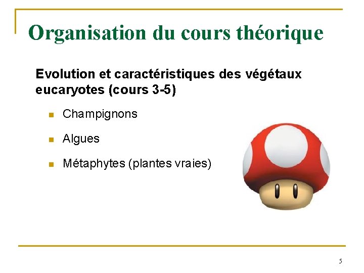 Organisation du cours théorique Evolution et caractéristiques des végétaux eucaryotes (cours 3 -5) n