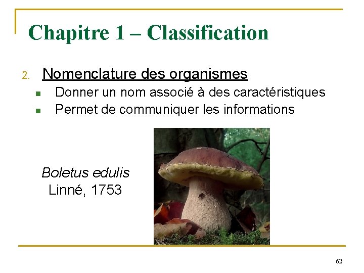 Chapitre 1 – Classification Nomenclature des organismes 2. n n Donner un nom associé