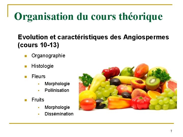 Organisation du cours théorique Evolution et caractéristiques des Angiospermes (cours 10 -13) n Organographie