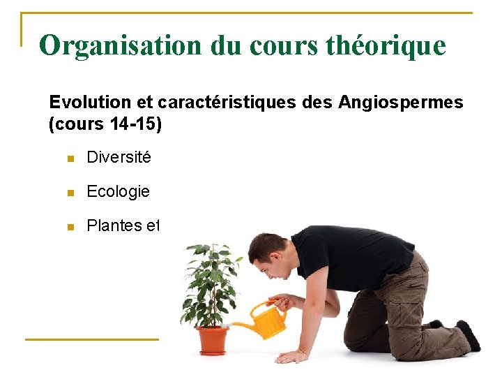 Organisation du cours théorique Evolution et caractéristiques des Angiospermes (cours 14 -15) n Diversité