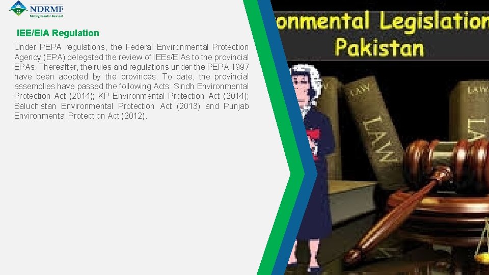 IEE/EIA Regulation Under PEPA regulations, the Federal Environmental Protection Agency (EPA) delegated the review