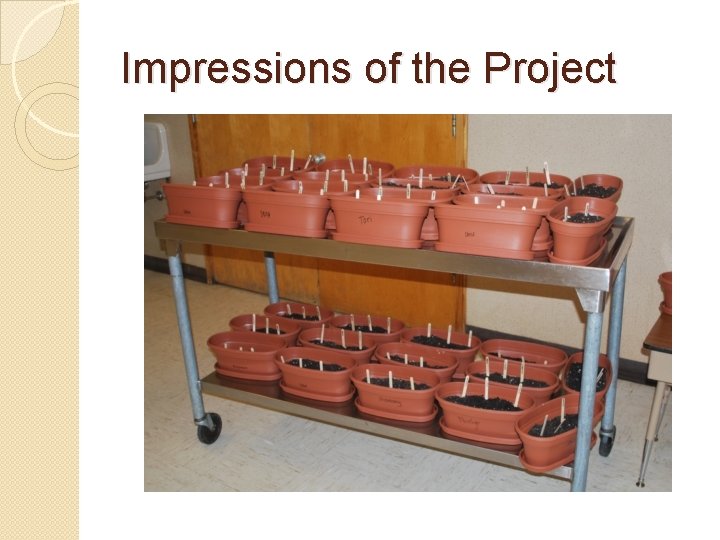Impressions of the Project 