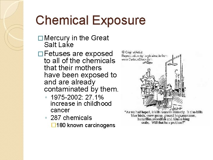 Chemical Exposure � Mercury in the Great Salt Lake � Fetuses are exposed to