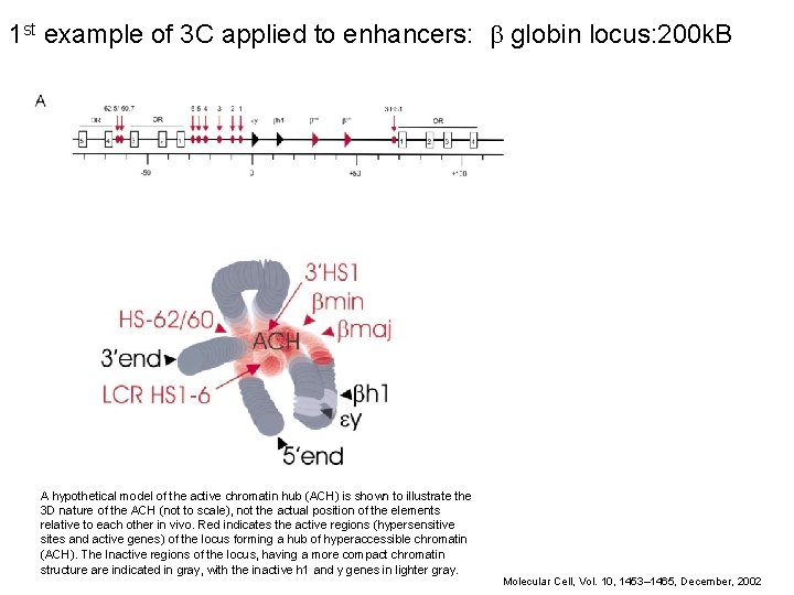 1 st example of 3 C applied to enhancers: b globin locus: 200 k.