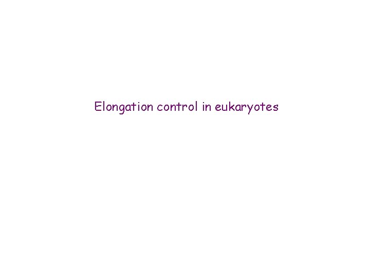 Elongation control in eukaryotes 