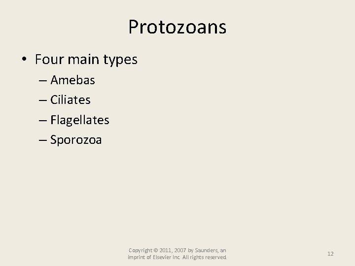 Protozoans • Four main types – Amebas – Ciliates – Flagellates – Sporozoa Copyright