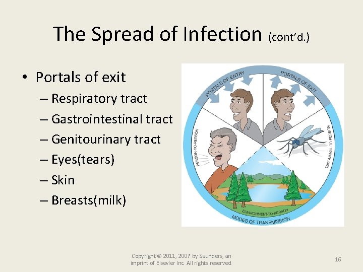 The Spread of Infection (cont’d. ) • Portals of exit – Respiratory tract –
