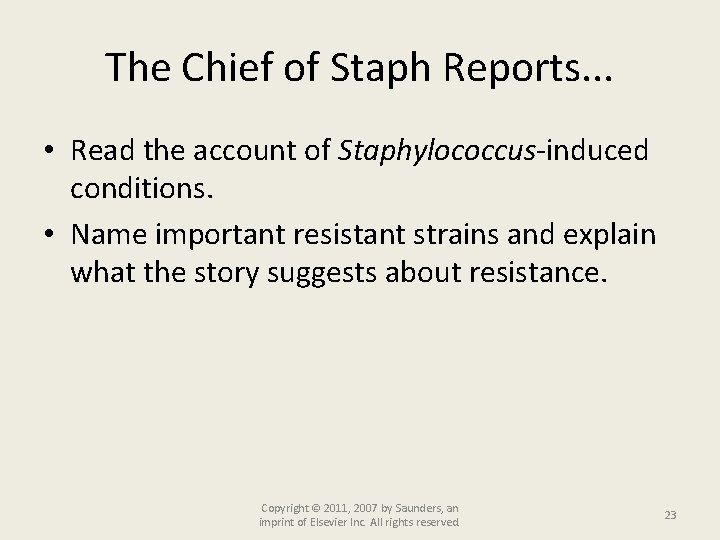 The Chief of Staph Reports. . . • Read the account of Staphylococcus-induced conditions.