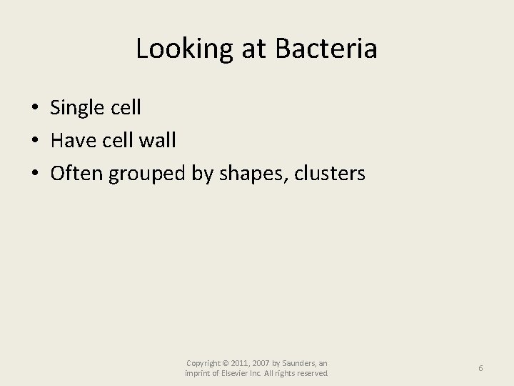 Looking at Bacteria • Single cell • Have cell wall • Often grouped by