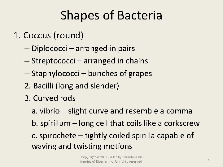 Shapes of Bacteria 1. Coccus (round) – Diplococci – arranged in pairs – Streptococci
