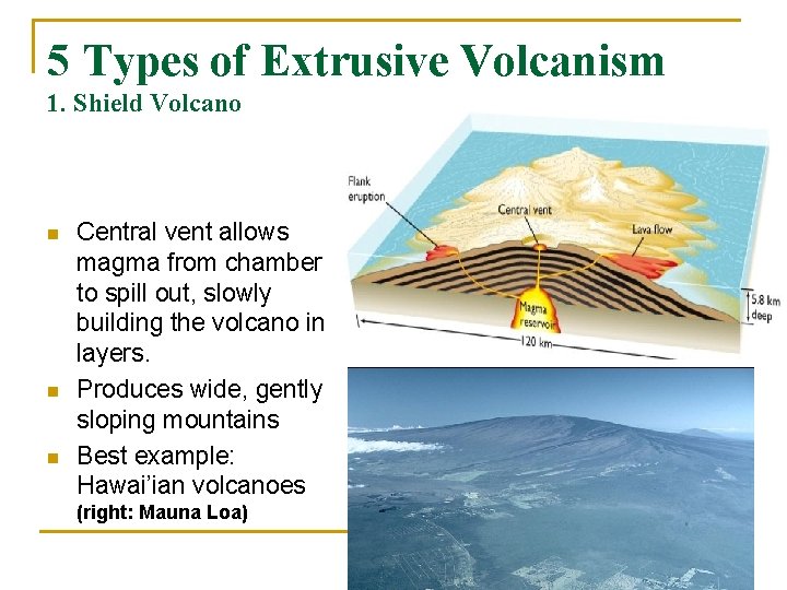 5 Types of Extrusive Volcanism 1. Shield Volcano n n n Central vent allows