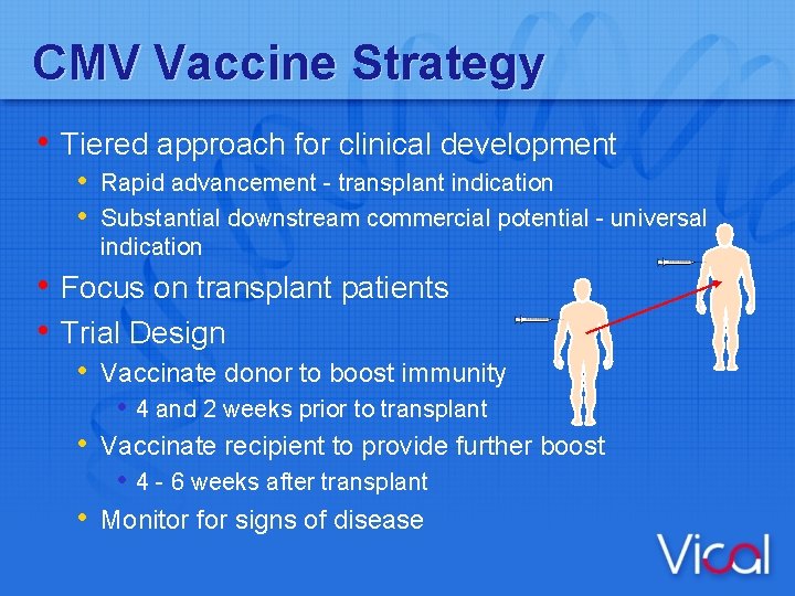 CMV Vaccine Strategy • Tiered approach for clinical development • Rapid advancement - transplant