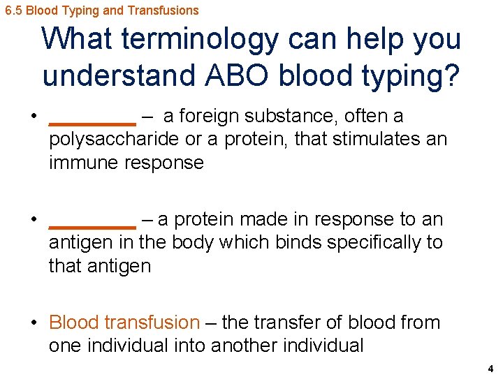 6. 5 Blood Typing and Transfusions What terminology can help you understand ABO blood