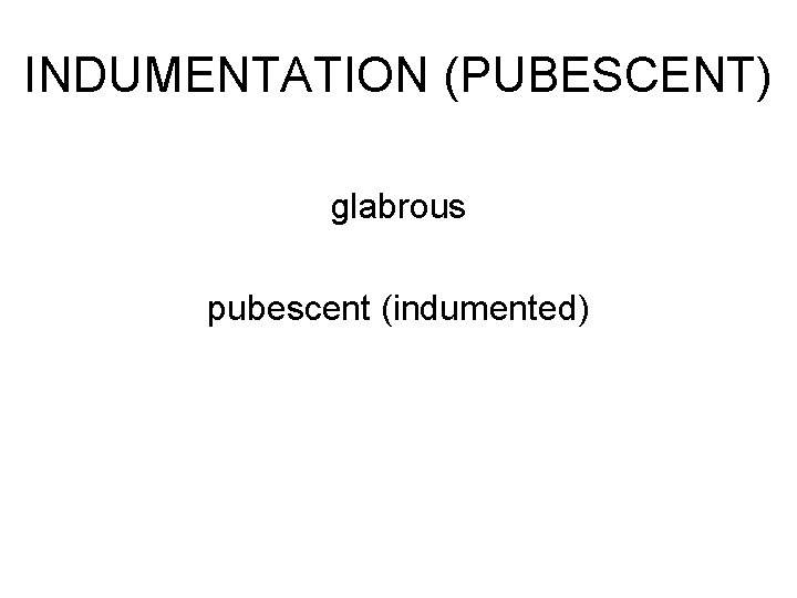 INDUMENTATION (PUBESCENT) glabrous pubescent (indumented) 