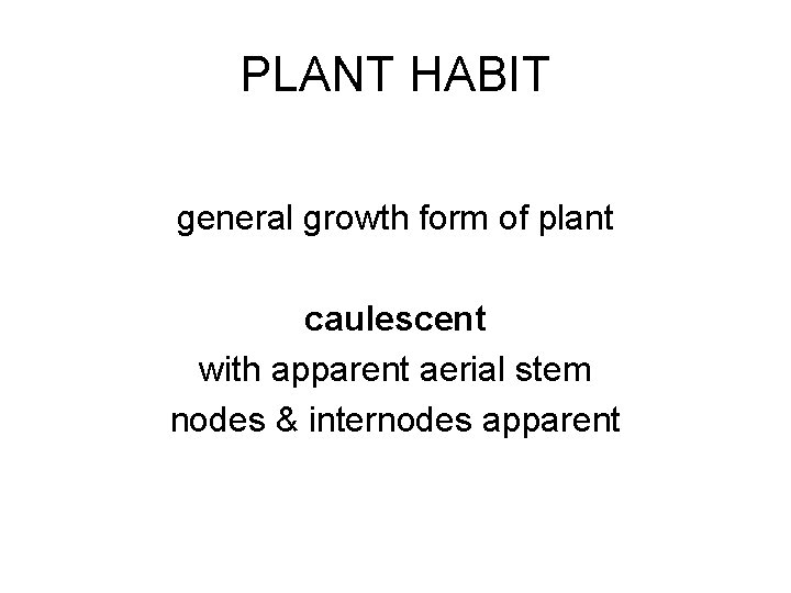 PLANT HABIT general growth form of plant caulescent with apparent aerial stem nodes &